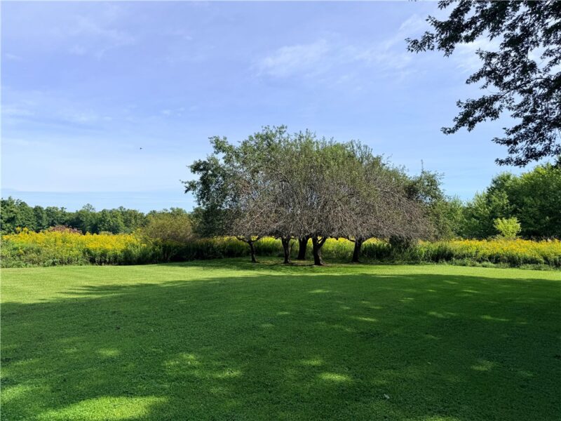 32766 Fine Rd — photo 8