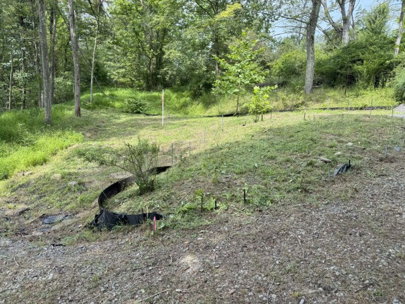 55 Dietrich — photo 5