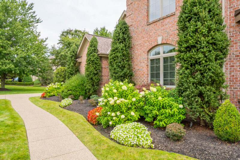4011 Muirfield DRIVE — photo 4