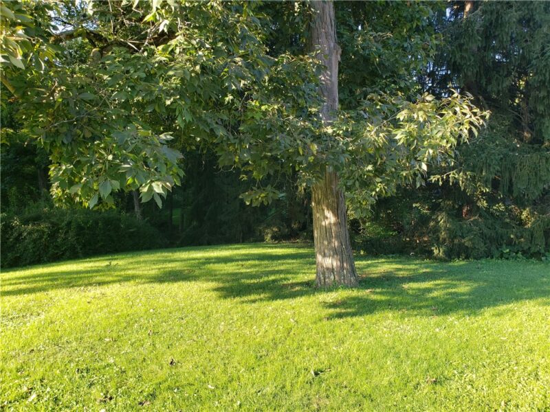 308 Westbrook Drive — photo 2