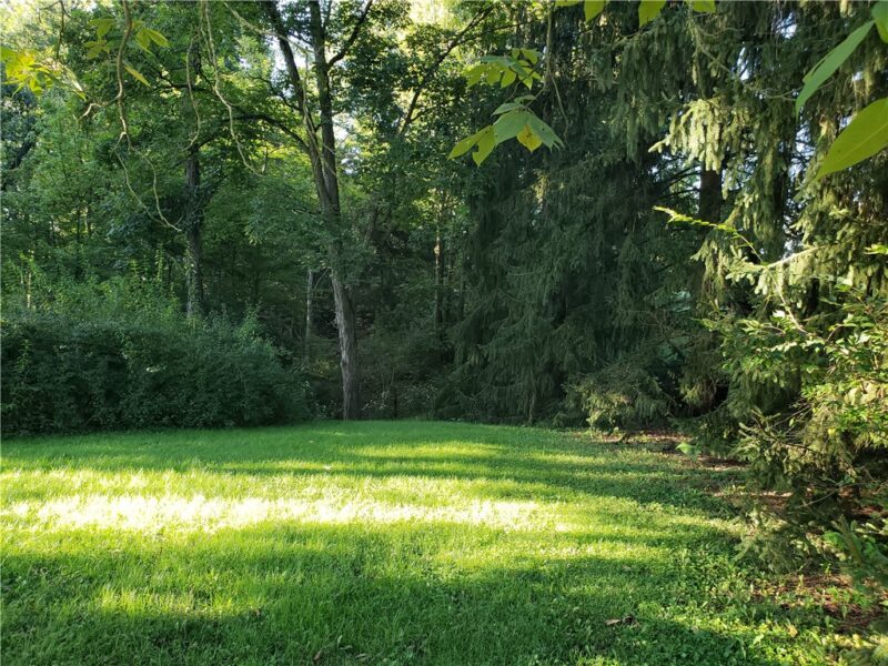 308 Westbrook Drive — photo 3