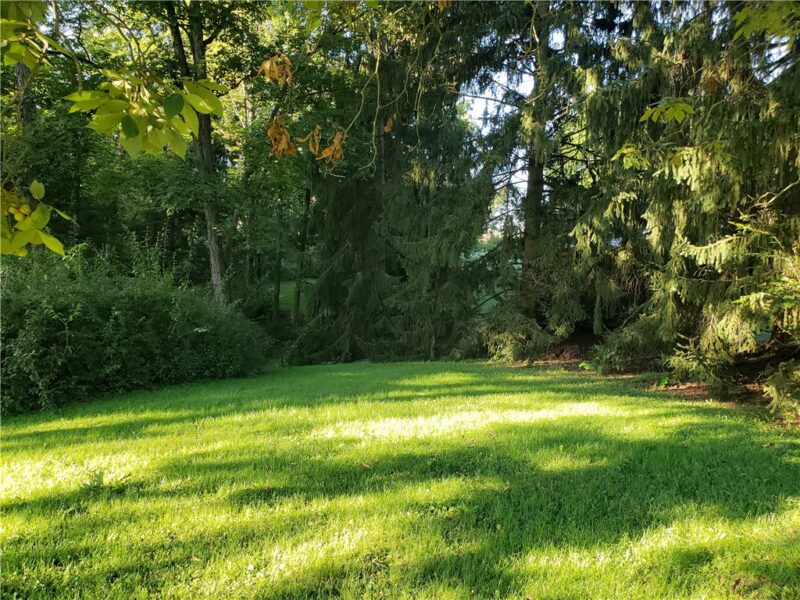 308 Westbrook Drive — photo 4