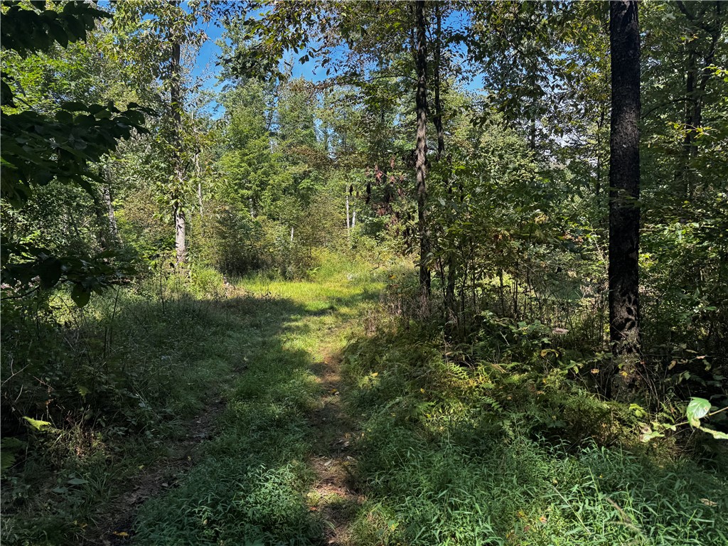 00 Slatertown Rd — photo 1
