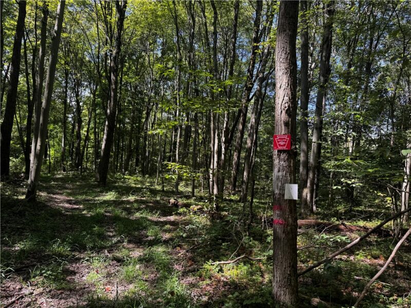 00 Slatertown Rd — photo 2