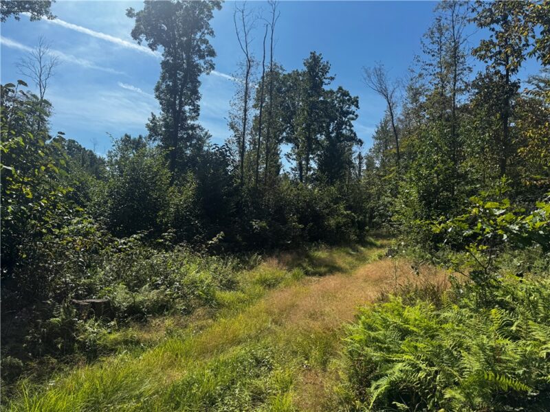00 Slatertown Rd — photo 4