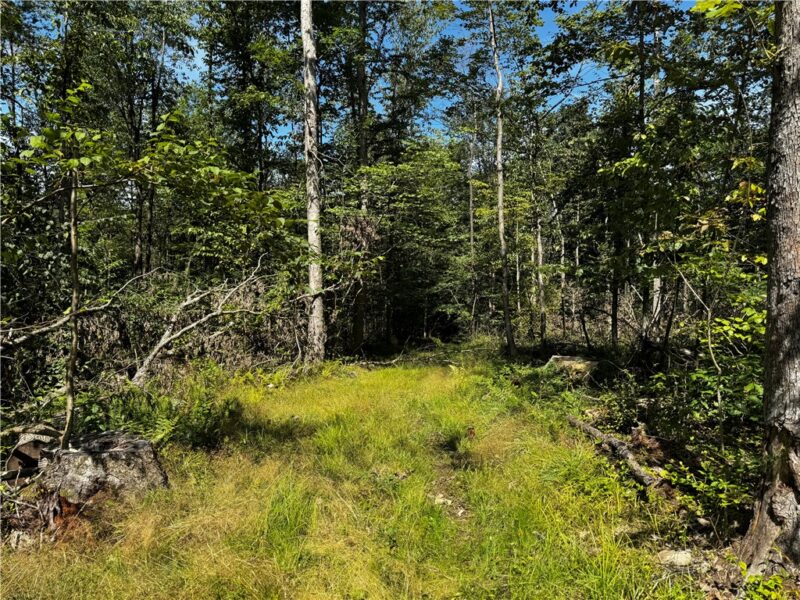00 Slatertown Rd — photo 8