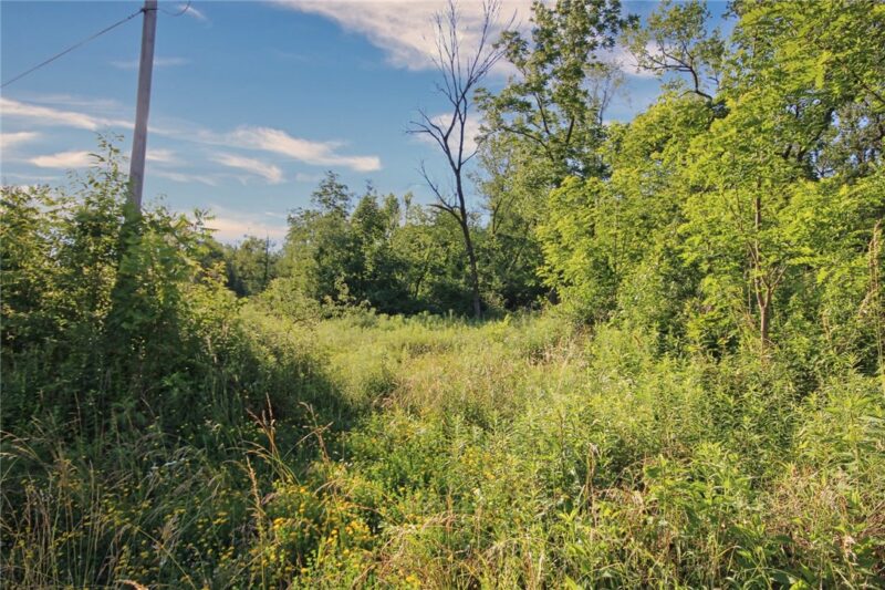 0 Henry Road — photo 3