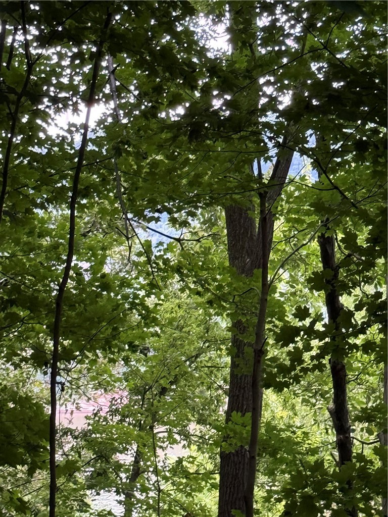 392 Midland Rd — photo 3