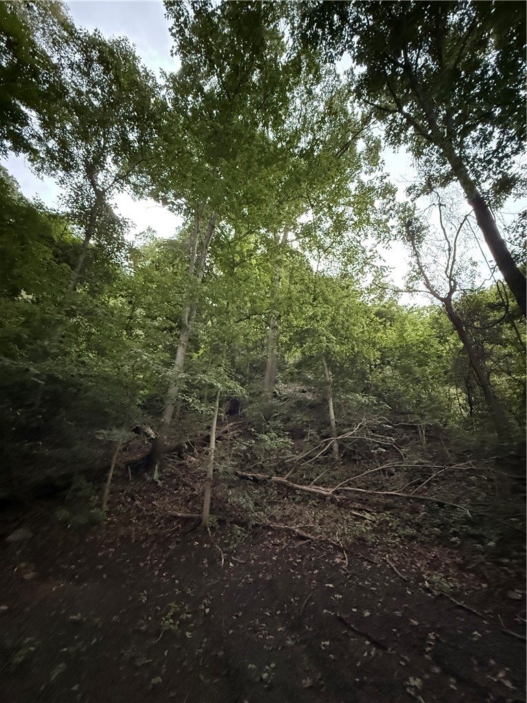 392 Midland Rd — photo 8