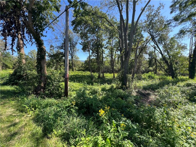 00 Brownfield Lane — photo 6