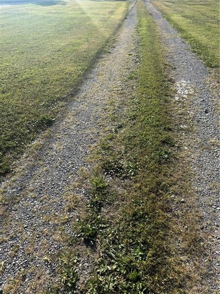 000 Perry Highway — photo 5