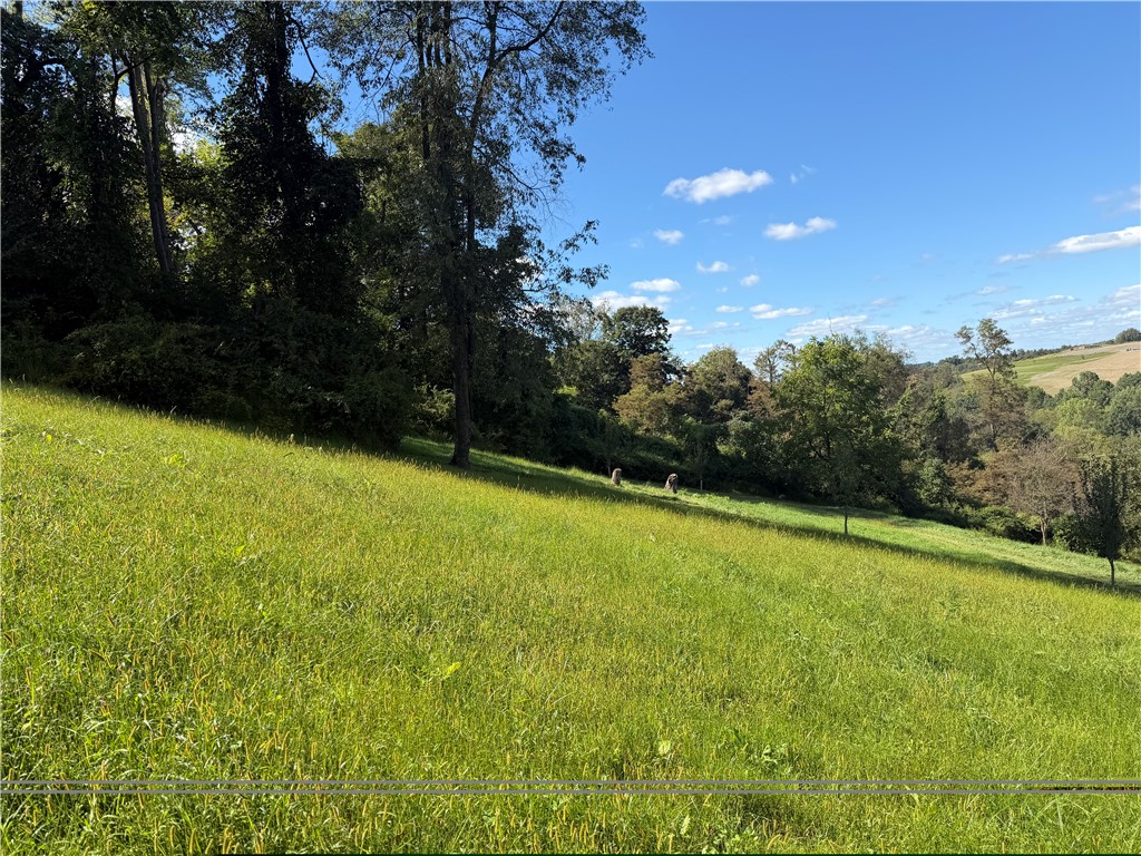 8655 Noblestown Rd — photo 1
