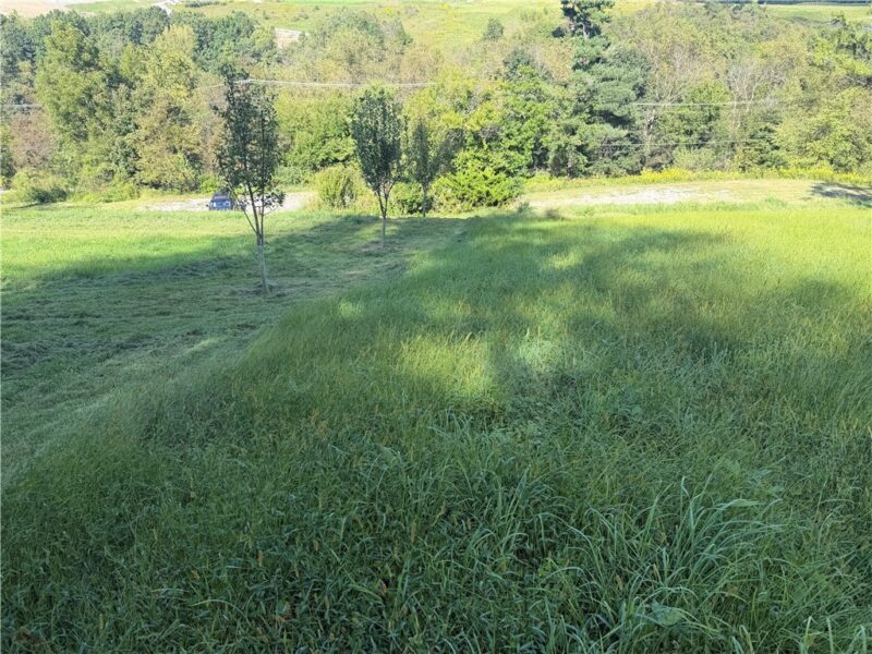 8655 Noblestown Rd — photo 3