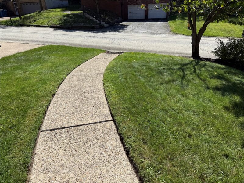 441 Springdale Dr — photo 4