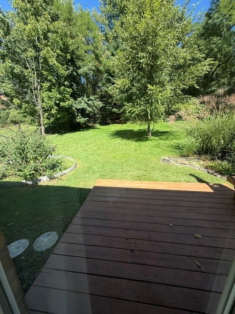 441 Springdale Dr — photo 6