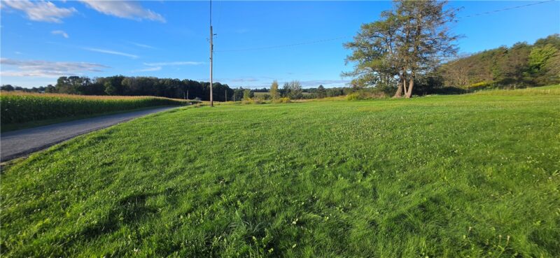 234 Henry Rd — photo 8