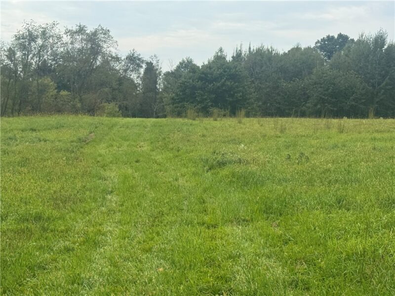 Lot # 1 S Center Street Ext — photo 4