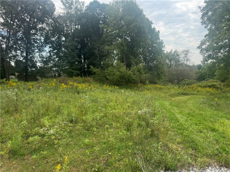Lot # 1 S Center Street Ext — photo 6