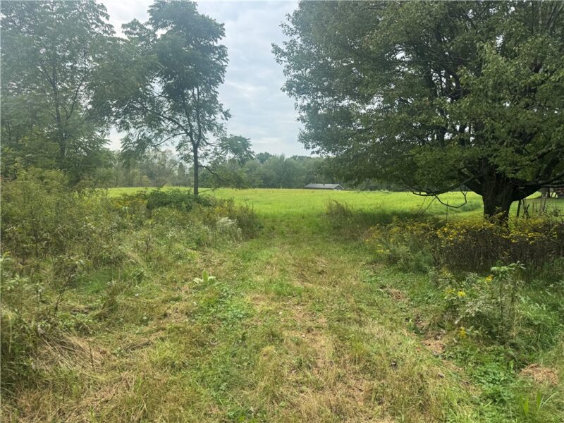 Lot # 1 S Center Street Ext — photo 8
