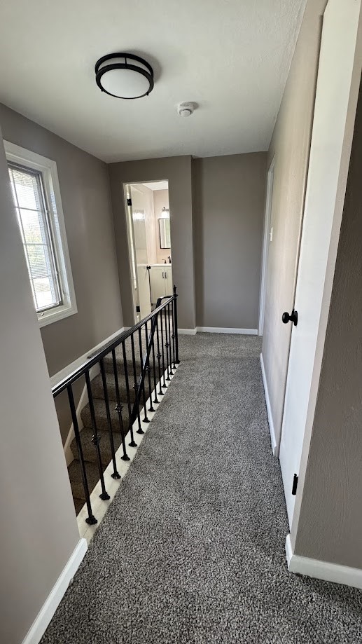 3832 Cynthia Dr — photo 8