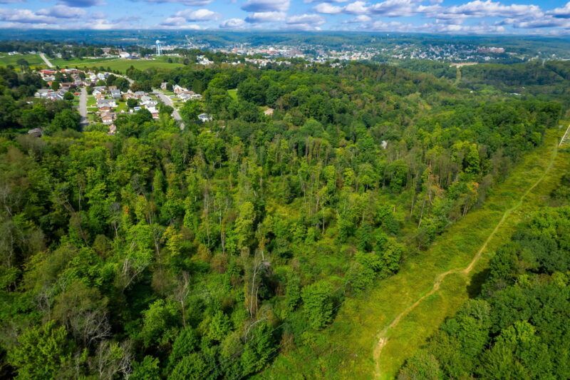00 Oakvale BOULEVARD — photo 4