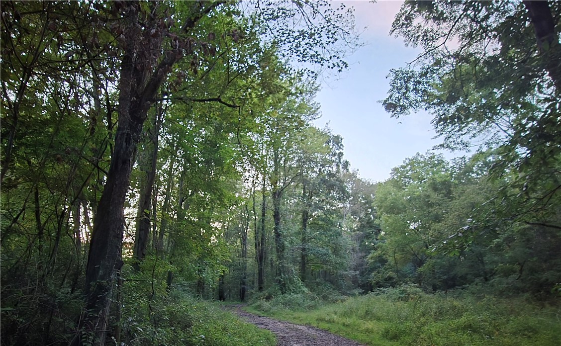 Lot 2 Taggert Road Crolls Mill Rd — photo 1
