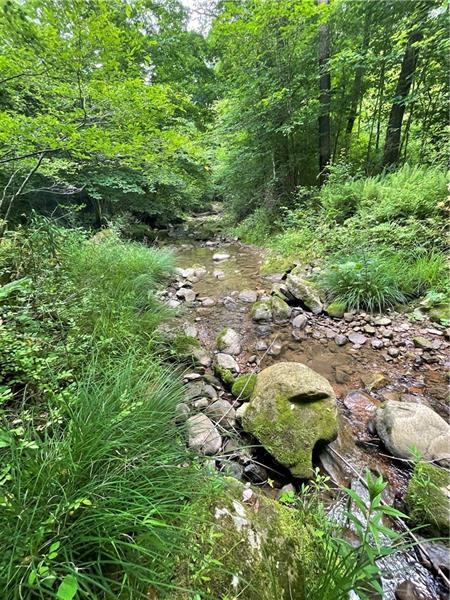 00 Greenlee Rd, Lot #1A — photo 1