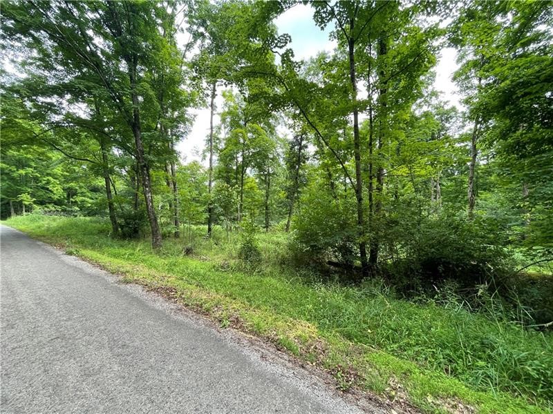 00 Greenlee Rd, Lot #1A — photo 2