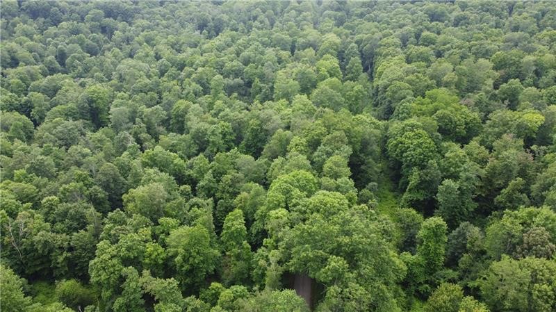 00 Greenlee Rd, Lot #1A — photo 3