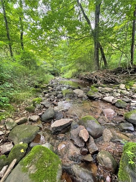 00 Greenlee Rd, Lot #1A — photo 5