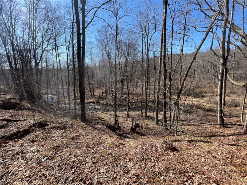 00 Greenlee Rd, Lot #1A — photo 6