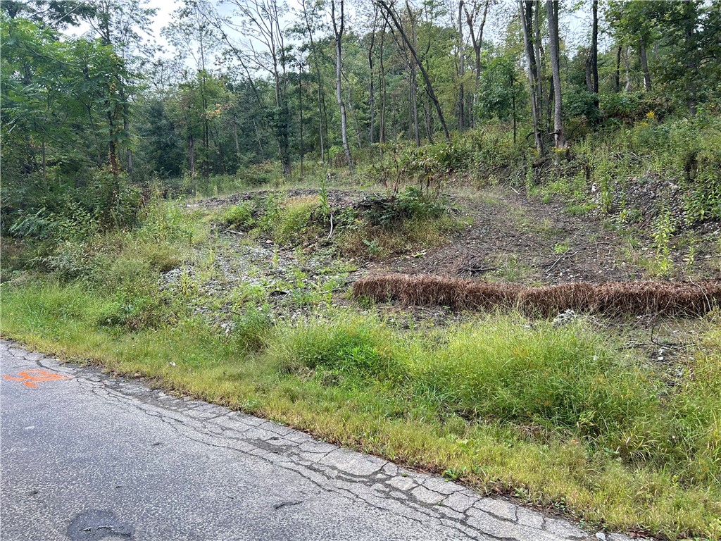 0 Norwood Drive — photo 1