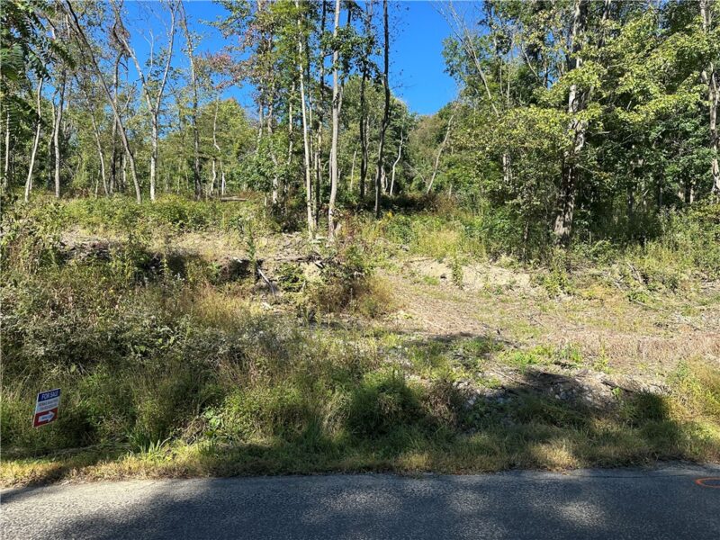 0 Norwood Drive — photo 2
