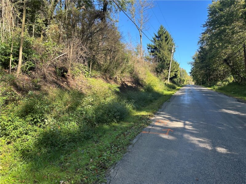 0 Norwood Drive — photo 4