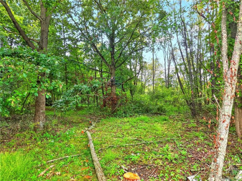 0 Radcliff Lane — photo 7