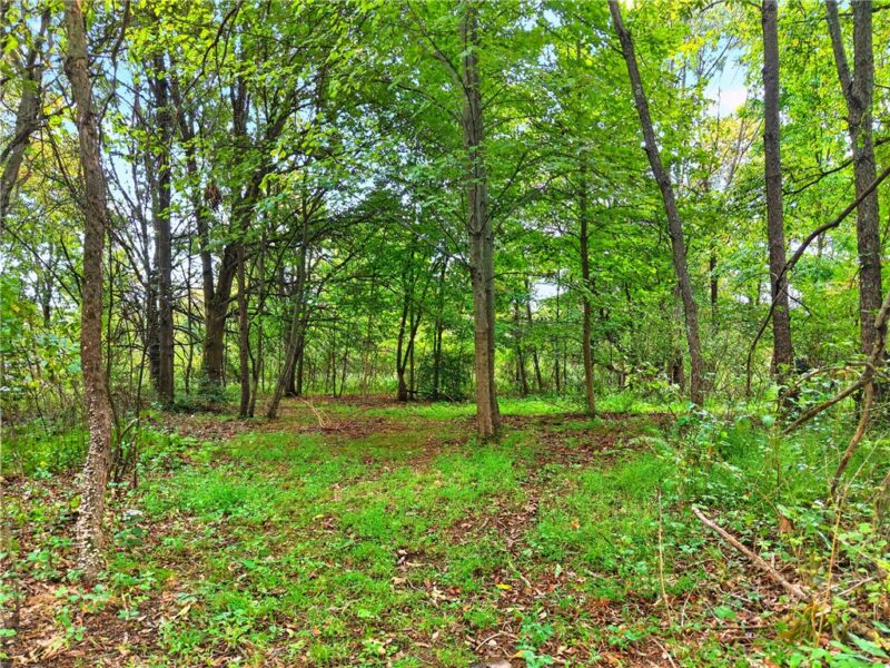 0 Radcliff Lane — photo 8