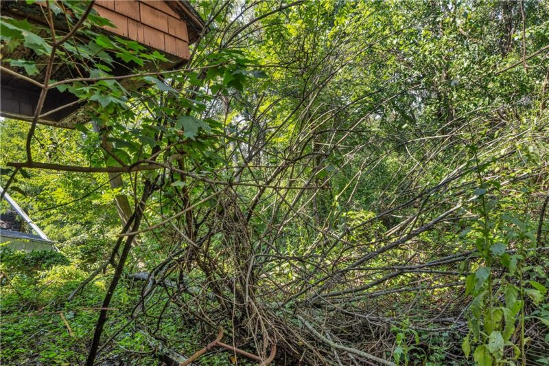 1524 Marie St — photo 3