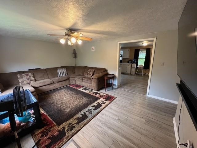 247 Manor Drive — photo 4