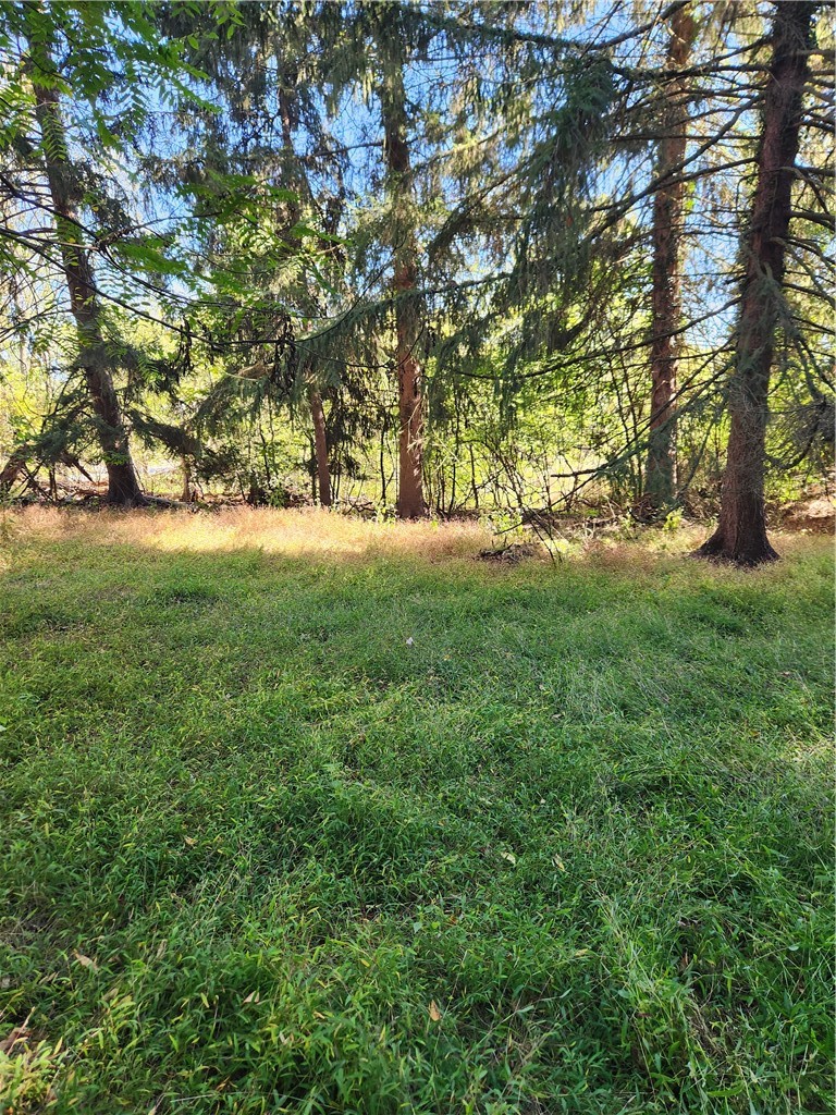 0 Broadview Drive — photo 4