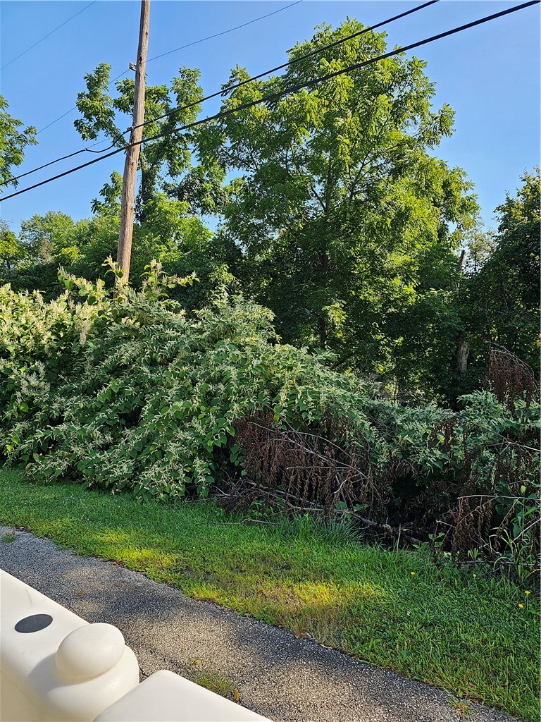 0 Zimmerman St — photo 3