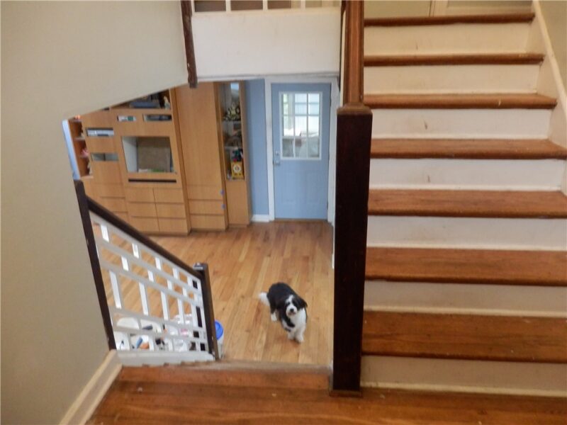 119 Keppler Dr — photo 8