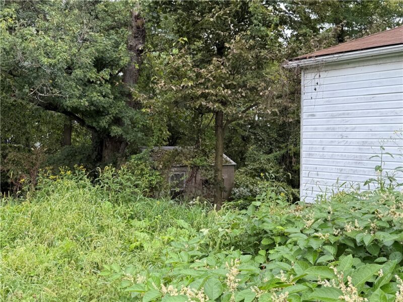 88 Ridge Rd — photo 5