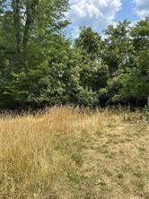 Lot 6 Wylie — photo 1