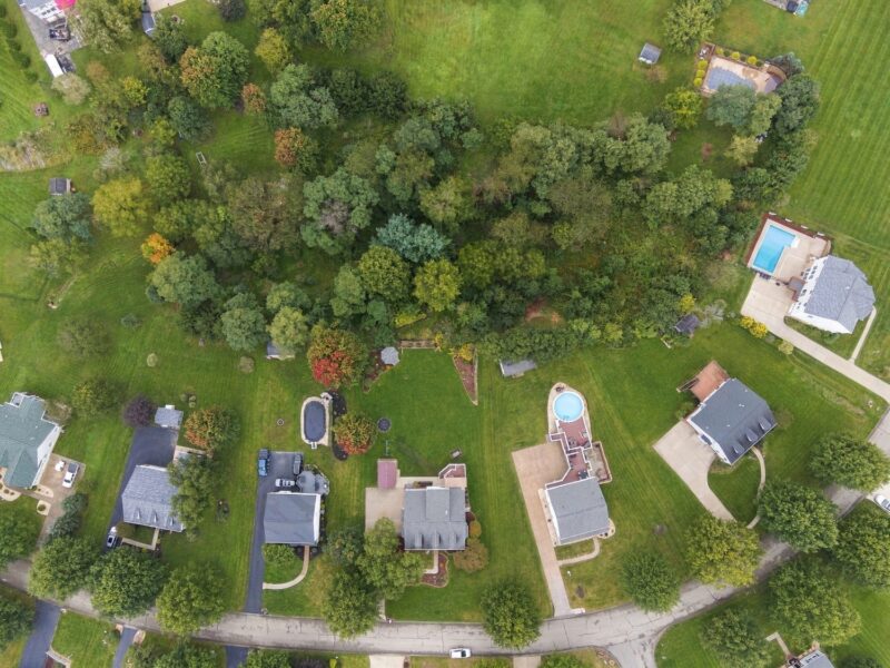 115 Pine Nut DRIVE — photo 4
