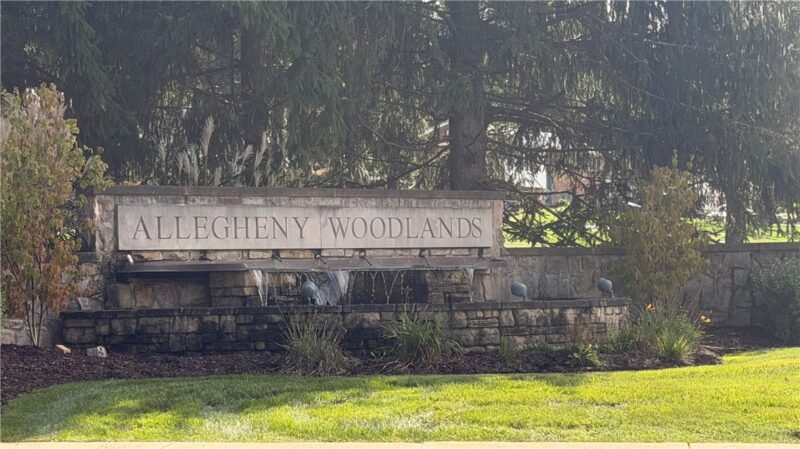 519 Dogwood COURT — photo 3