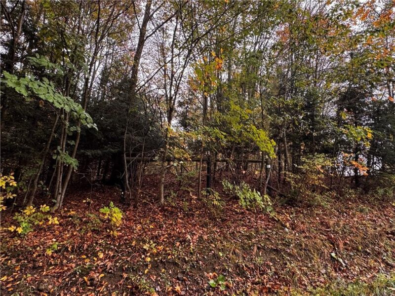 Lot 1 Dobbs Rd — photo 2