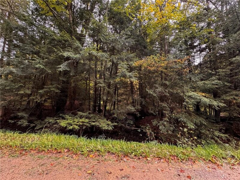 Lot 1 Dobbs Rd — photo 5
