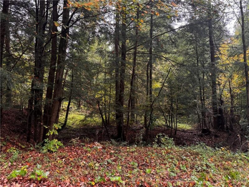 Lot 1 Dobbs Rd — photo 7