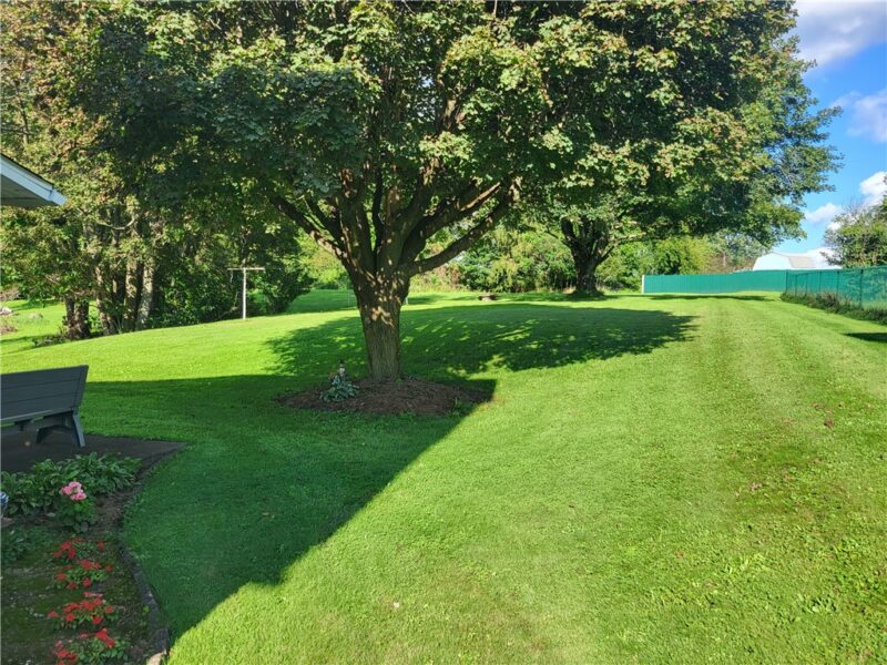 138 Cherry Run — photo 3