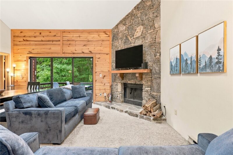 2104 Swiss Mountain Drive — photo 7